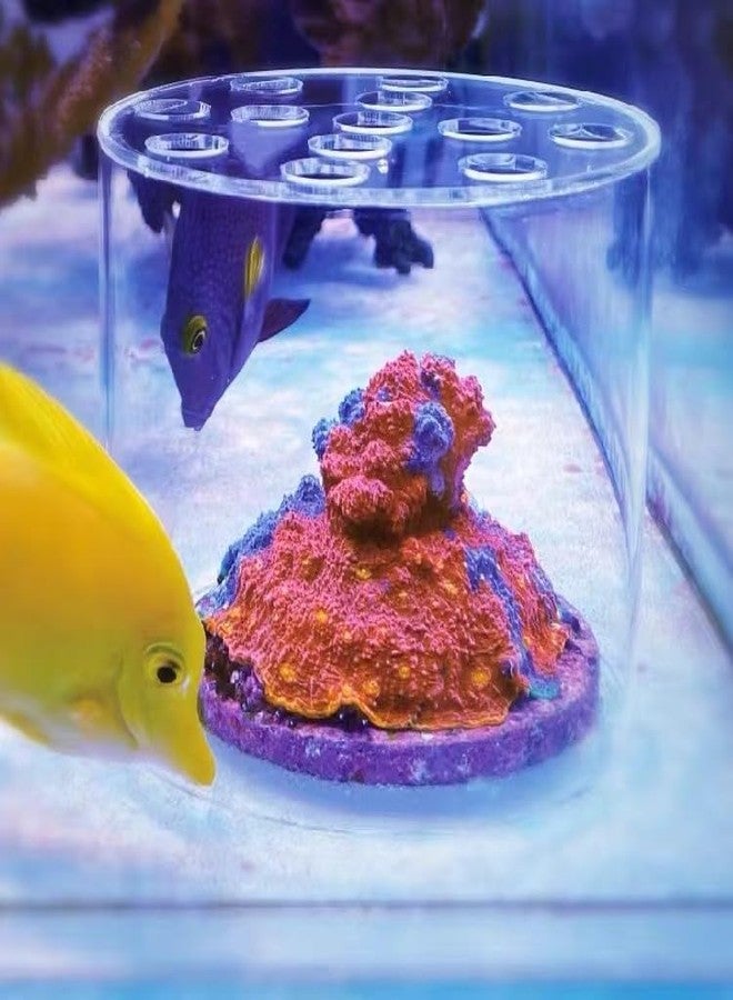 Weramics Acrylic Coral Feeder Cover Reef Feeding Breeding Protection Cover Avoid Corals Food Floating Around - Image 3
